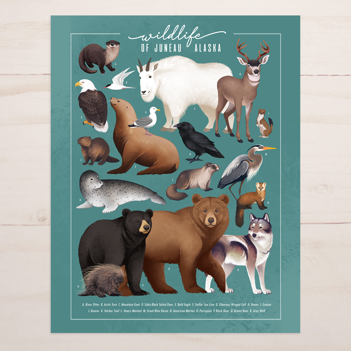 Wildlife of Juneau Alaska || Field Guide Art Print
