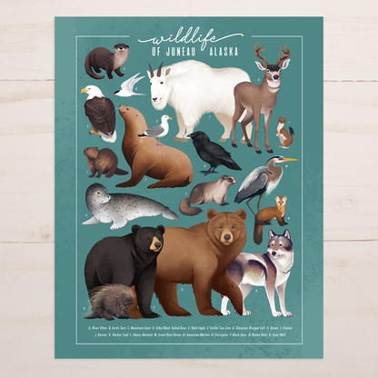 Wildlife of Juneau Alaska || Field Guide Art Print