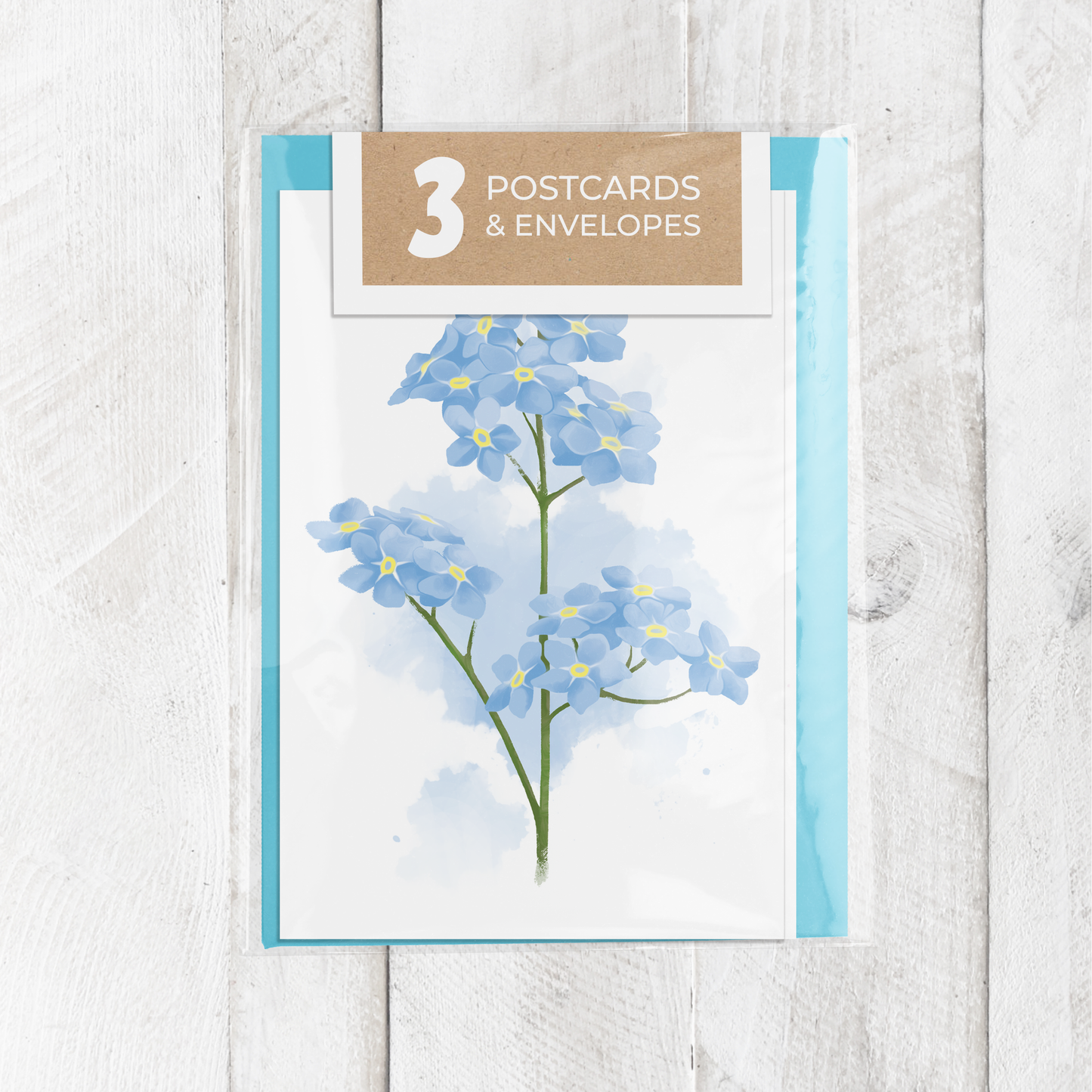 Alaska Floral Postcard Set || Botanical Illustrations
