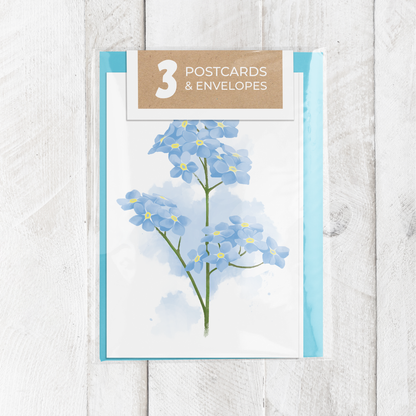 Alaska Floral Postcard Set || Botanical Illustrations