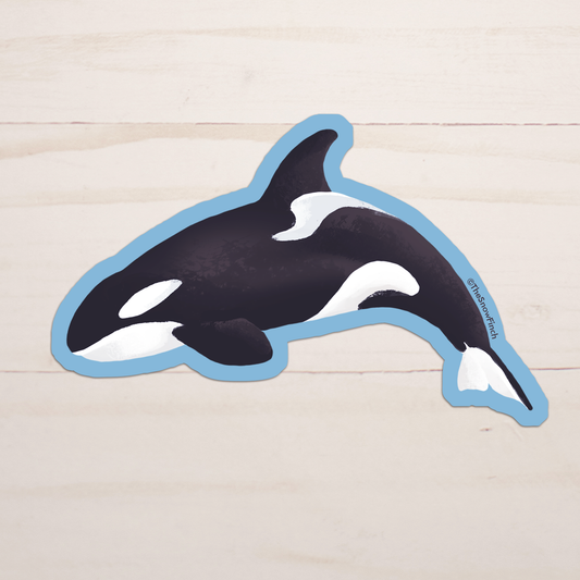 Orca Killer Whale Sticker || Waterproof Vinyl