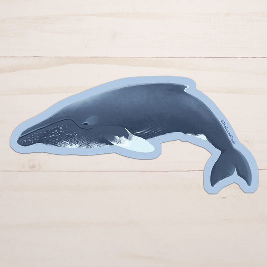 Humpback Whale Sticker || Waterproof Vinyl