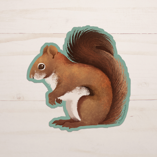 Red Squirrel Sticker || Waterproof Vinyl