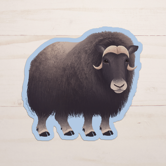Musk Ox Sticker || Waterproof Vinyl