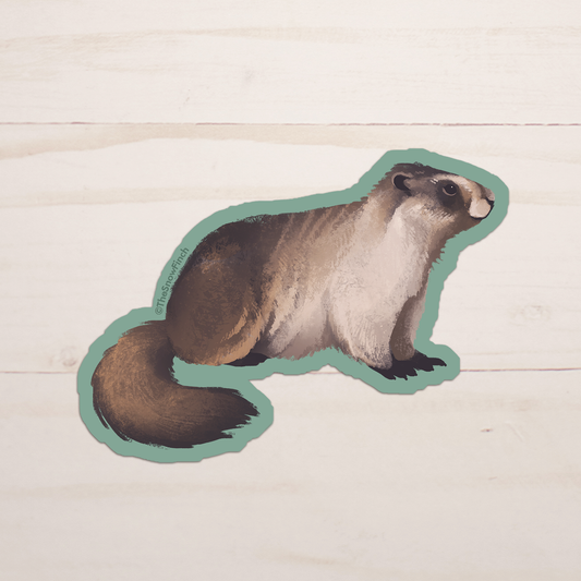 Hoary Marmot Sticker || Waterproof Vinyl