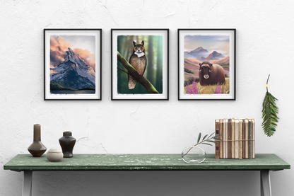 Musk Ox Fireweed Meadow || Alaska Wildlife Art Print