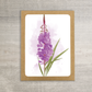 Alaska Floral Greeting Card Box Set || Illustrated Stationery Set