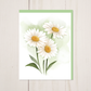 Alaska Daisy || Floral Greeting Card with Envelope