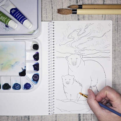 Arctic Alaska Art Coloring Book