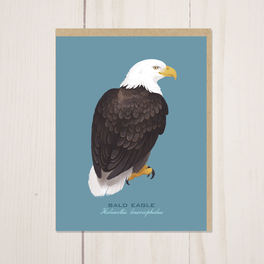 Bald Eagle Greeting Card and Envelope