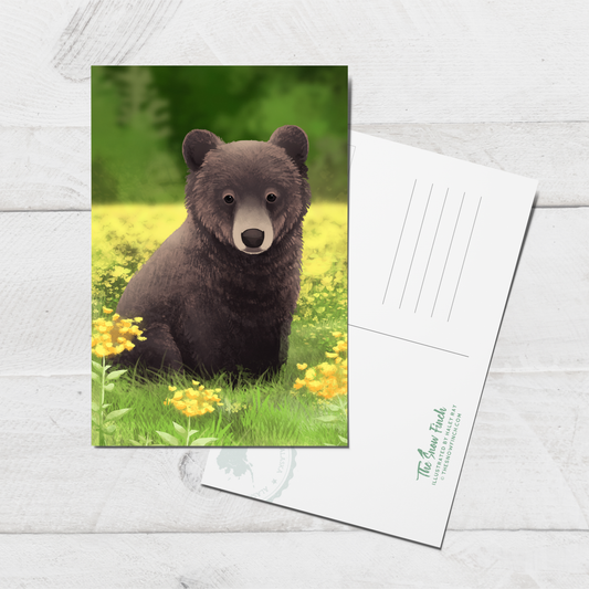 Baby Bear Postcard || 4x6 Travel Alaska Art Postcard