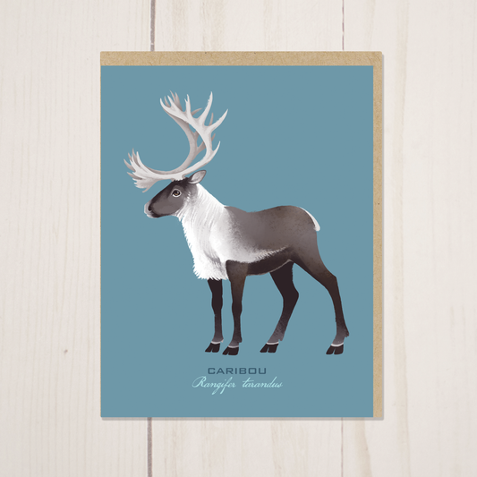 Caribou Reindeer Greeting Card with Envelope