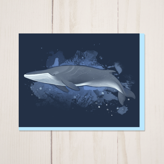 Fin Whale Greeting Card with Envelope