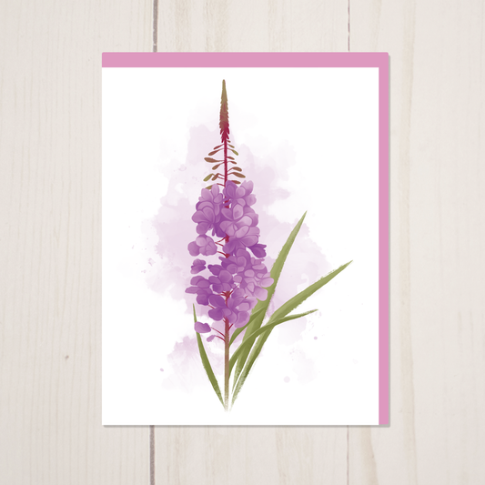 Fireweed || Floral Greeting Card with Envelope