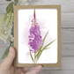 Alaska Floral Greeting Card Box Set || Botanical Stationery Set