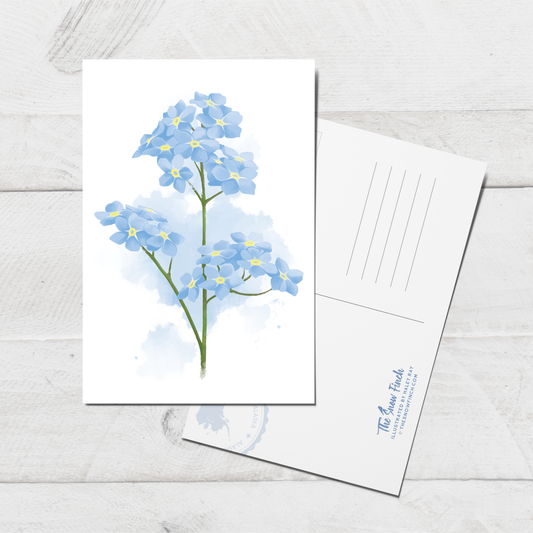 Forget Me Not Postcard || 4x6 Floral Alaska Art
