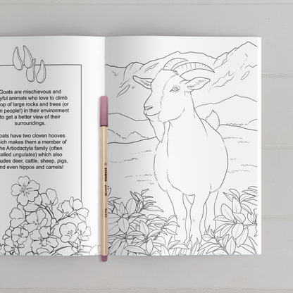Farmyard Friends Coloring Book