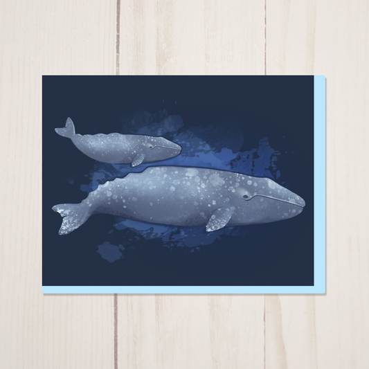 Grey Whale and Calf Greeting Card with Envelope