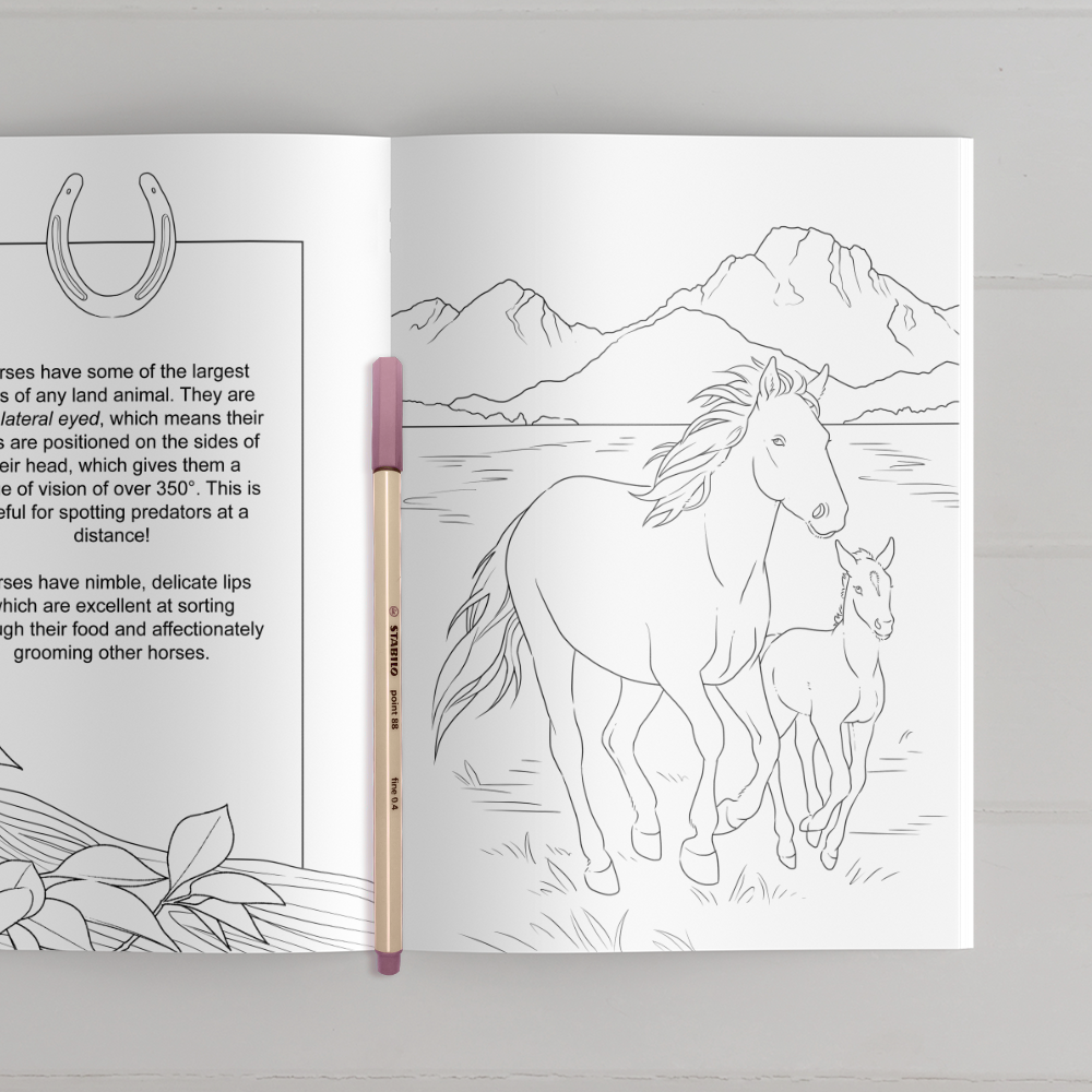 Farmyard Friends Coloring Book