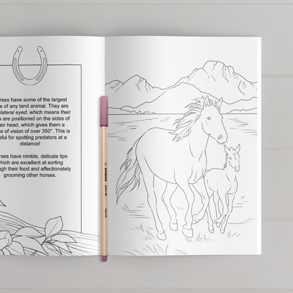 Farmyard Friends Coloring Book