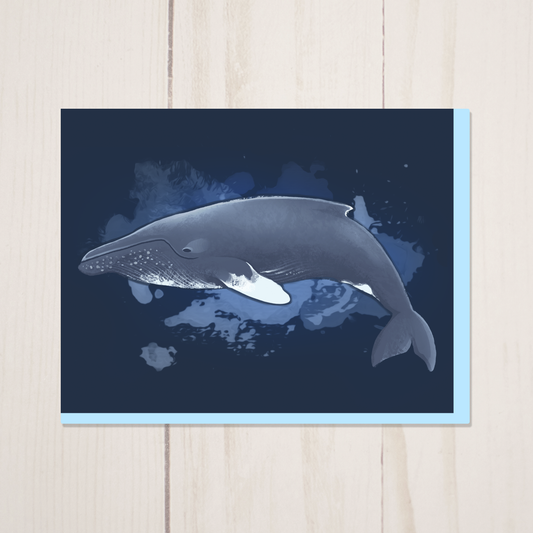 Humpback Whale Greeting Card with Envelope