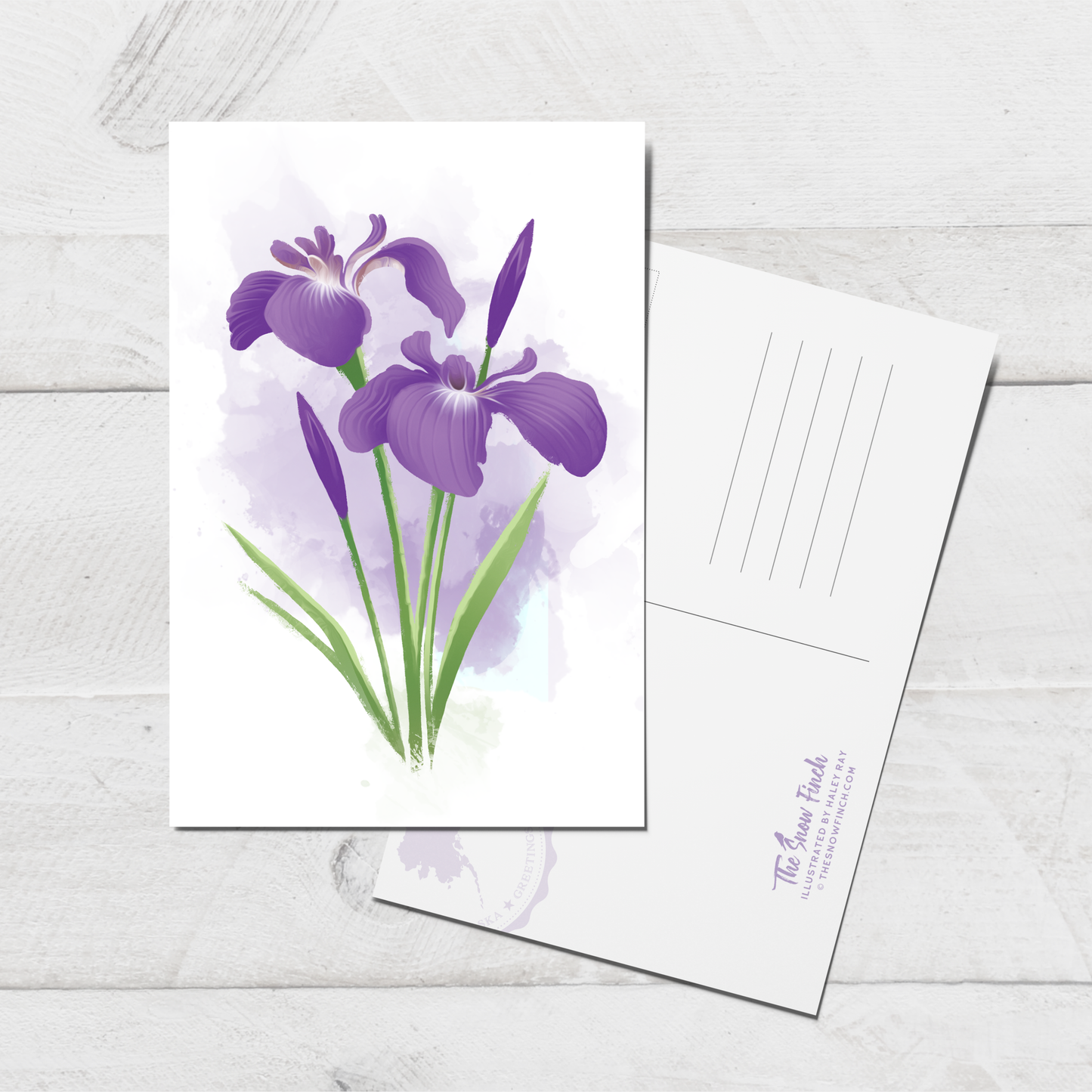 Wild Iris Postcard || 4x6 Floral Botanical Art