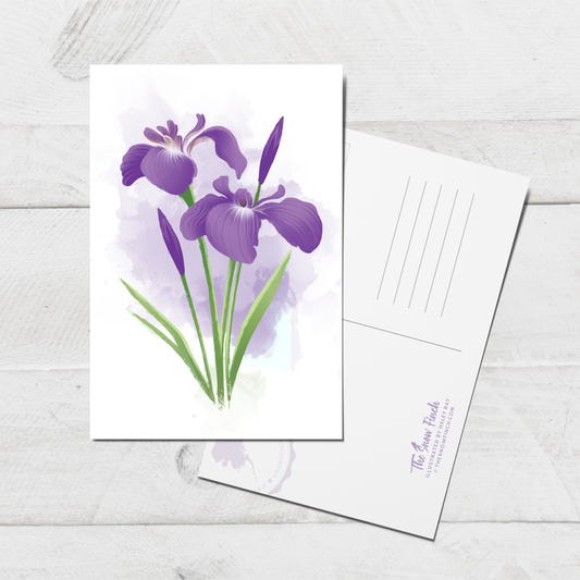 Wild Iris Postcard || 4x6 Floral Botanical Art