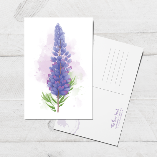 Lupine Postcard || 4x6 Floral Botanical Art