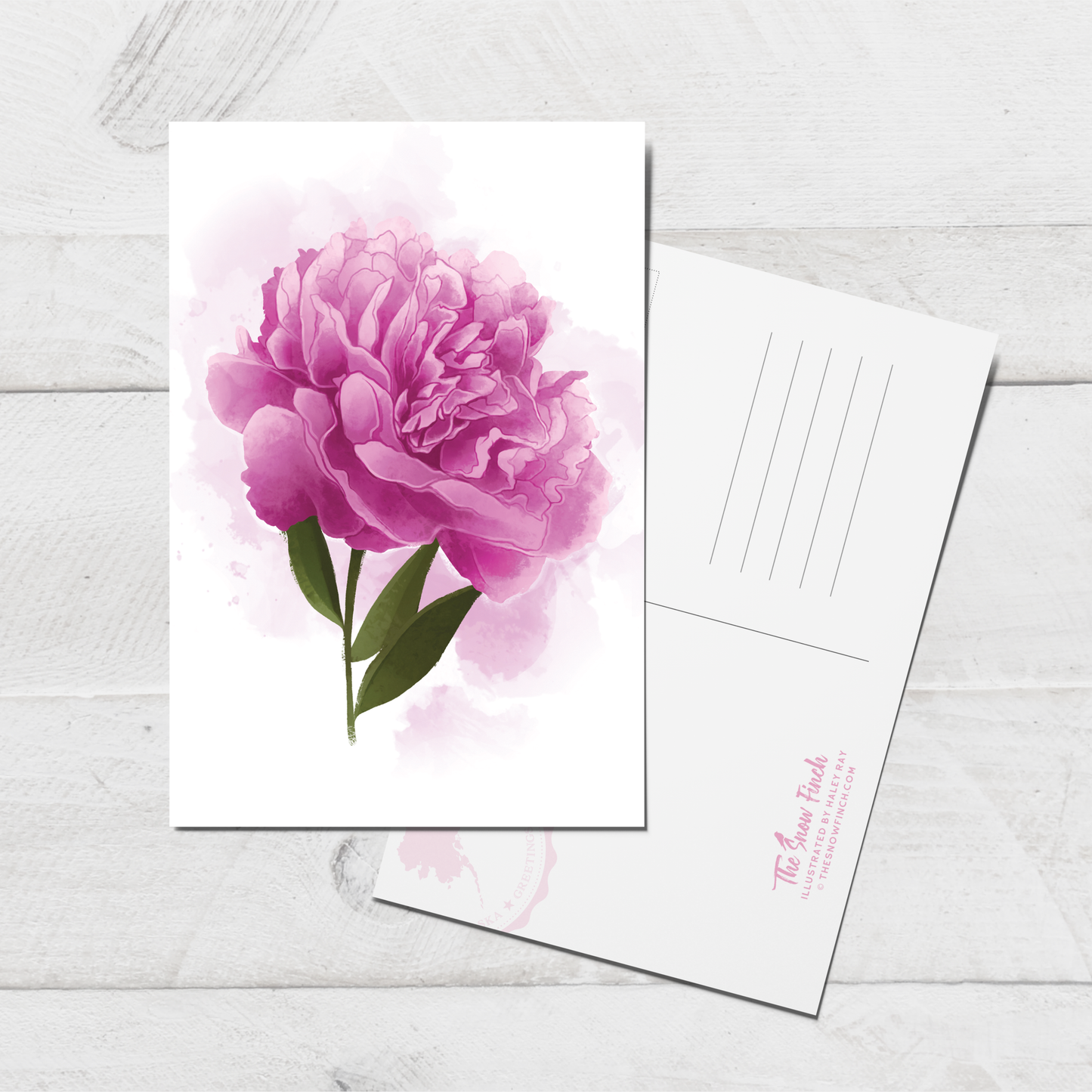 Pink Peony Postcard || 4x6 Floral Botanical Art
