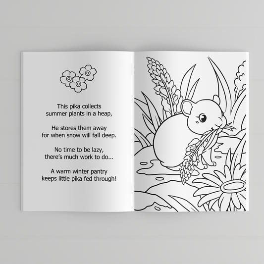 Alaskan Adventure Coloring Book