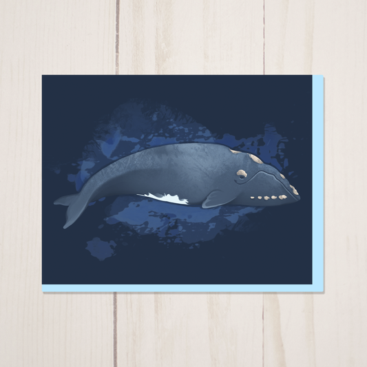Right Whale Greeting Card with Envelope