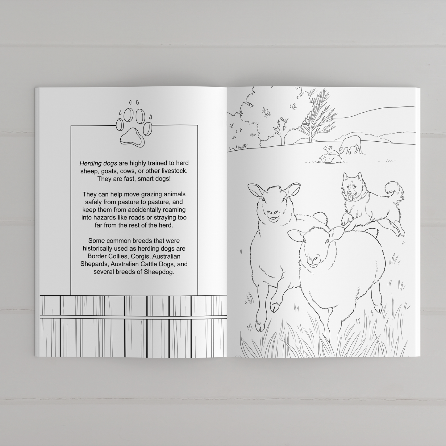 Farmyard Friends Coloring Book