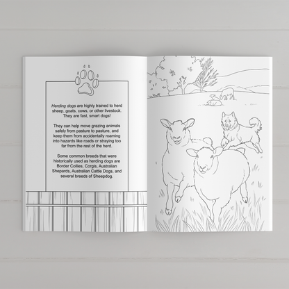 Farmyard Friends Coloring Book