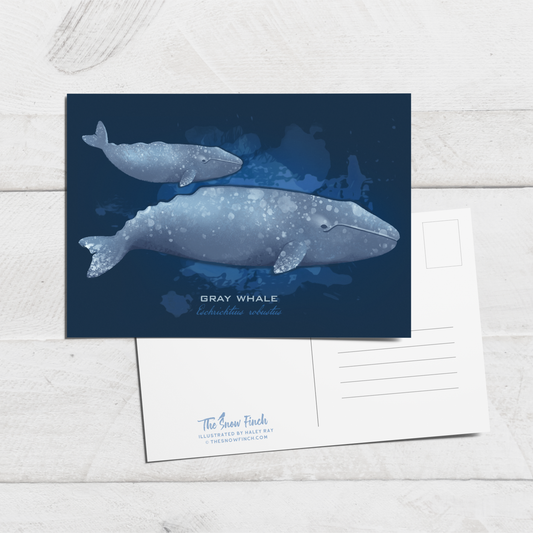 Gray Whale and Calf Postcard || 4x6 Coastal Animal Art