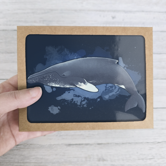 Whales of Alaska Greeting Card Box Set || Alaska Stationery