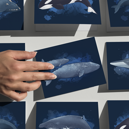 Whales of Alaska Greeting Card Box Set || Alaska Stationery