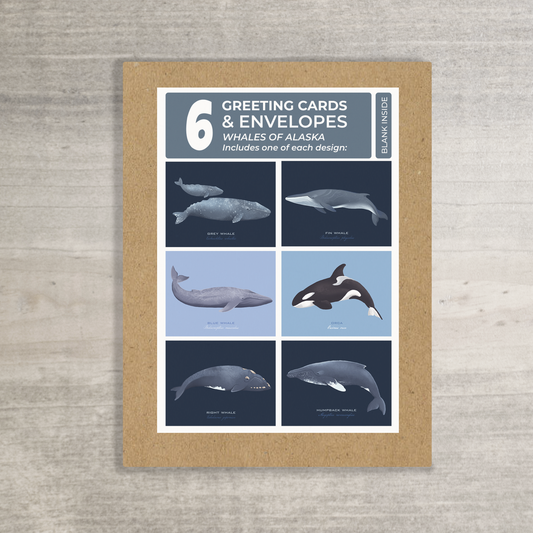Whales of Alaska Greeting Card Box Set || Alaska Stationery