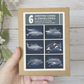 Whales of Alaska Greeting Card Box Set || Alaska Stationery
