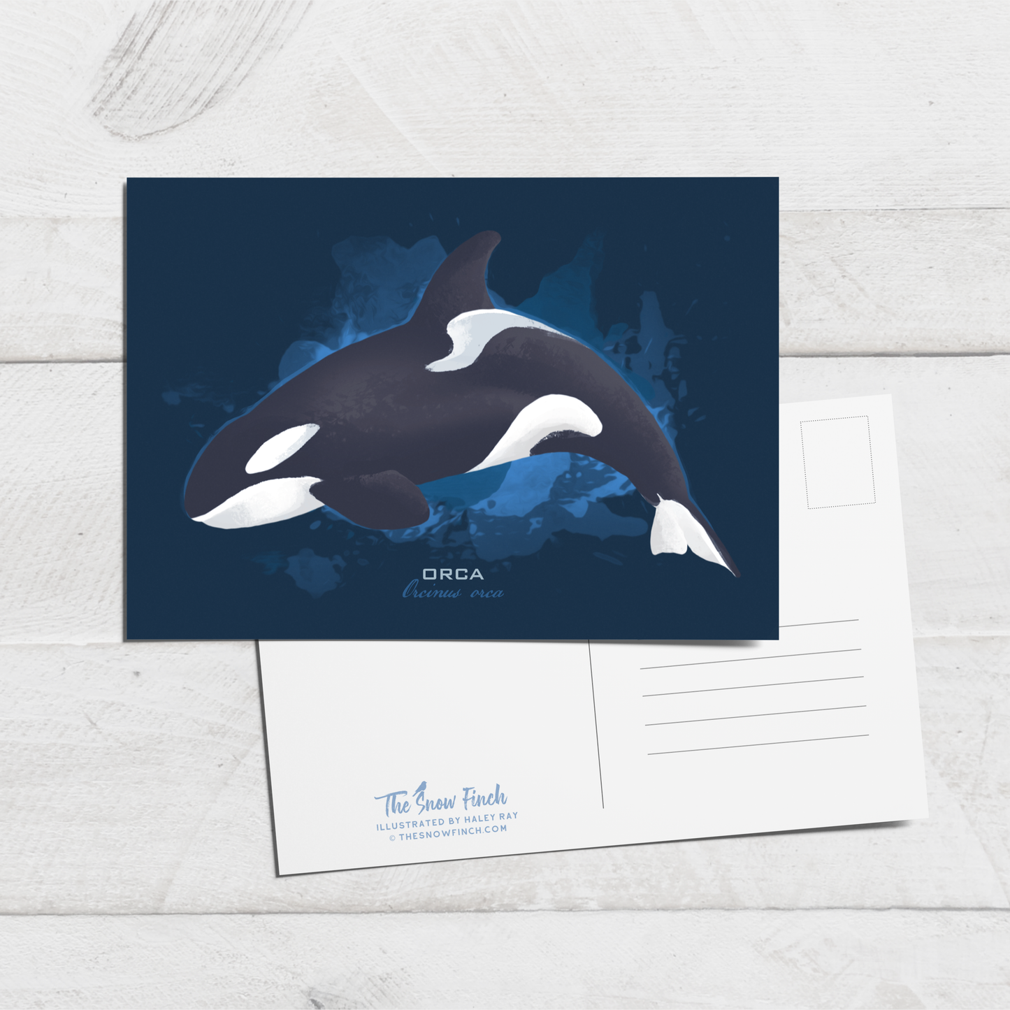 Orca Postcard || 4x6 Coastal Animal Art