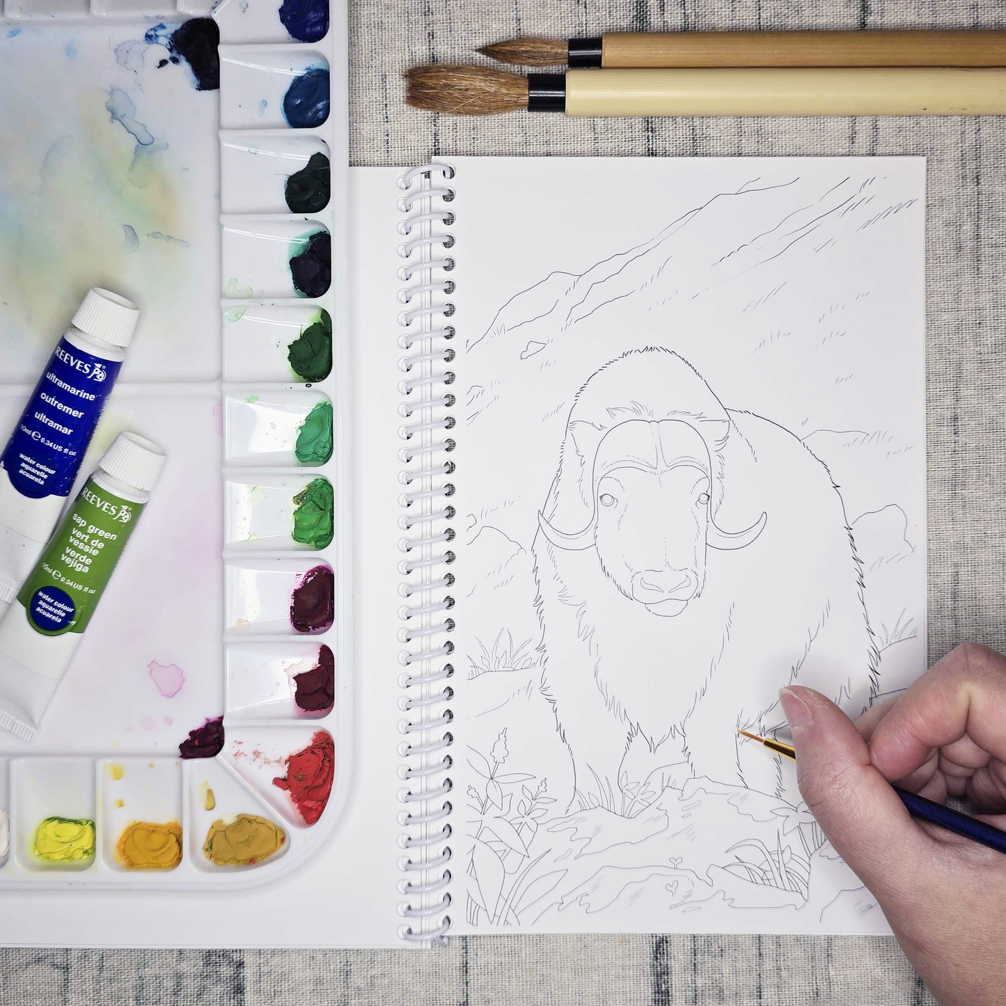 Wild Alaska Art Coloring Book