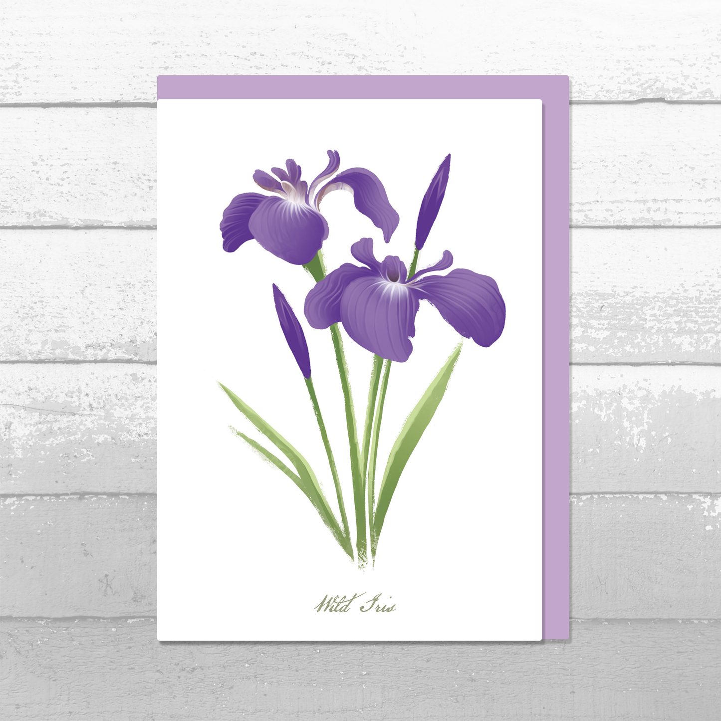Wild Iris Greeting Card || A6