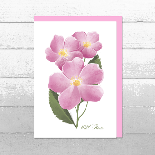 Wild Pink Rose Greeting Card || A6