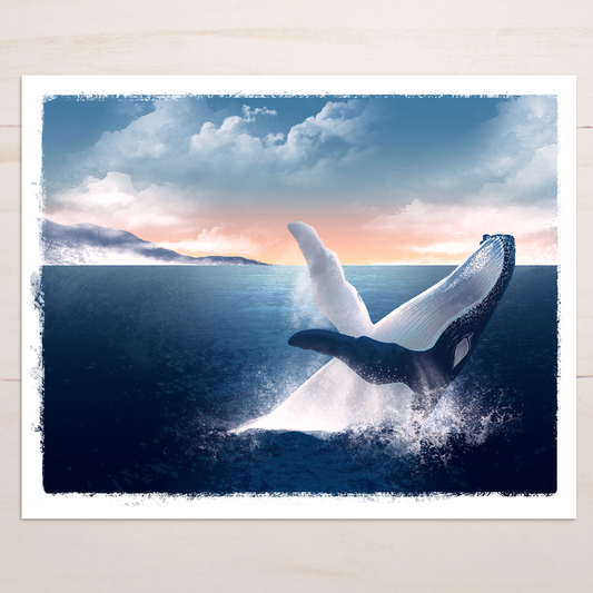 Breaching Whale Art Print