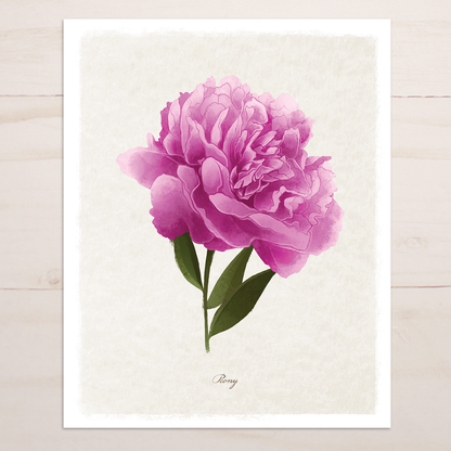 Pink Peony Floral || Botanical Fine Art Print