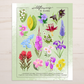 Wildflowers of Alaska Art Print