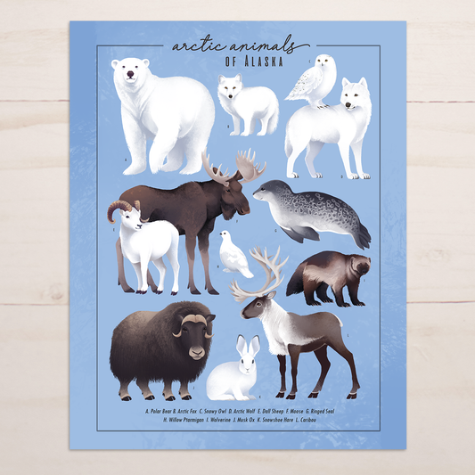 Arctic Animals of Alaska Art Print